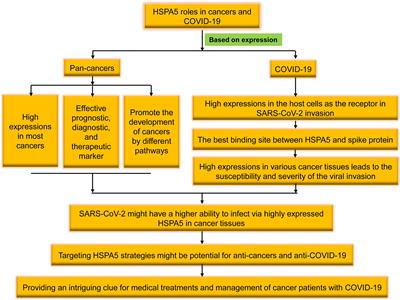 New progresses on cell surface protein HSPA5/BiP/GRP78 in cancers and COVID-19